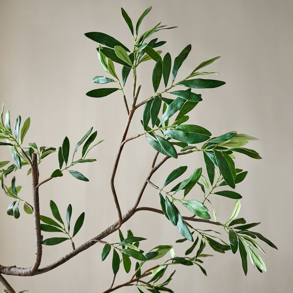 Faux Black Olive Branch West Elm UK